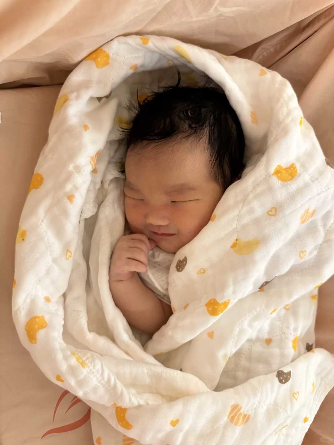 辅助生殖安全解析：试管婴儿取卵醋的正确认识与使用指南